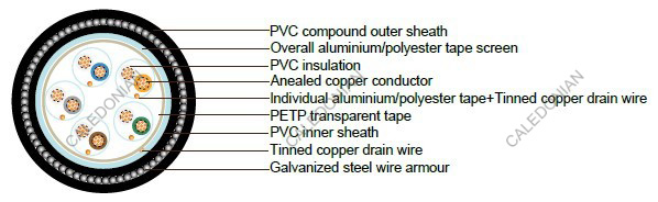 PAS 5308 Cable Part 2 Type 2 PVC-IS-OS-SWA-PVC PAS 5308 Cable Part 2 Type 2 PVC-IS-OS-SWA-PVC