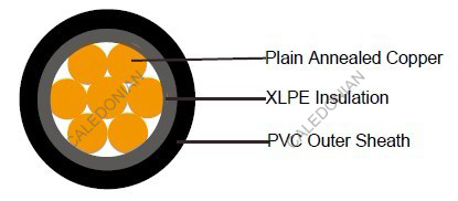 FTX300 1RZ1-R (CU/XLPE/LSZH 600/1000V Class 2)