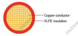 WXC American Standard Automotive Cable