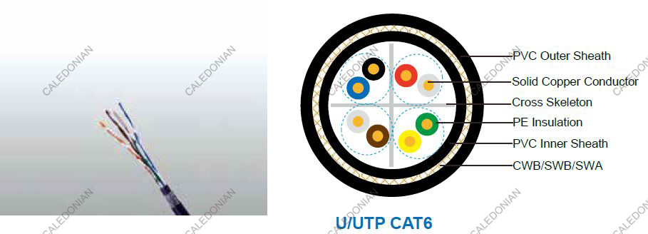 Flame Retardant CAT6 CWB/SWB/SWA Armoured Data Cables