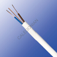 British Standard Industrial Cables
6241Y/6242Y/ 6243Y to BS 6004British Standard Industrial Cables
6241Y/6242Y/ 6243Y to BS 6004