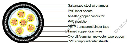 PAS 5308 Cable Part 2 Type 2 PVC-OS-SWA-PVC