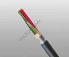 NEK606 Offshore Marine Cable P1 or P1/P8 RFOU/TFOU 0.6/1KV NEK606 Offshore Marine Cable P1 or P1/P8 RFOU/TFOU 0.6/1KV
