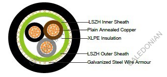 FTX300 1RZ1-R (CU/XLPE/LSZH 600/1000V Class 2)