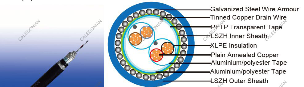 LSZH Flame Retardant Individual and Overall Screened, Armoured Instrumentation Cables
(Multipair)