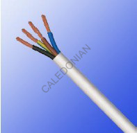 Industrial Cables DN-F
