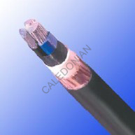 Industrial Cables NAYCY