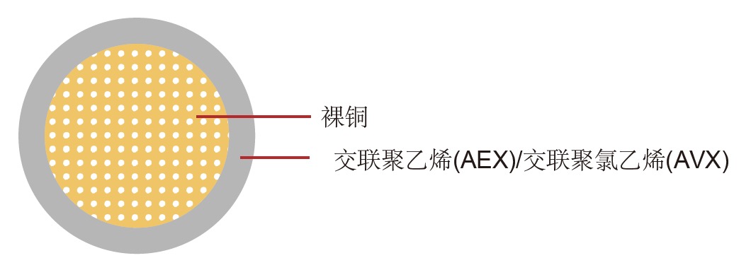 AEX/AVX