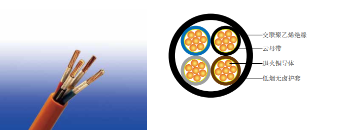 BS 8573׼600/1000V ĸ+ϩ Ե±׵ (2-5 о)