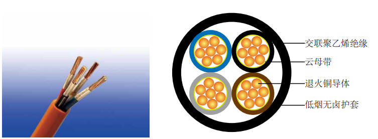 600/1000V ĸ+ϩ Ե±׵IEC 60502-1 (2-5 о & о)