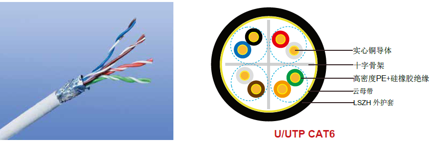 CAT6ݵ