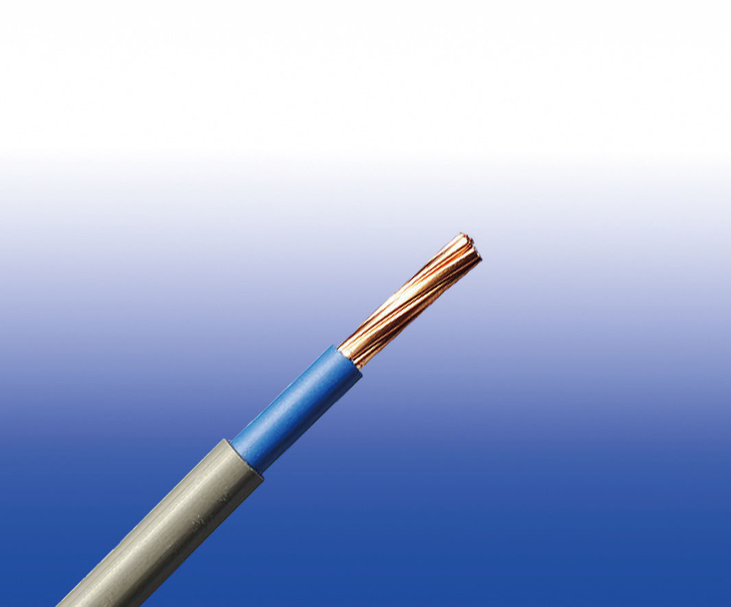 BS 6004标准PVC绝缘PVC护套电力电缆
