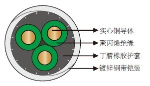 205?/96 PPԵNBRԲǱͱõ